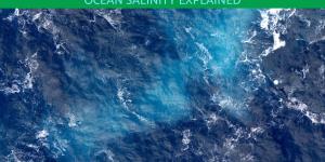 Why Is Sea Water Salty?