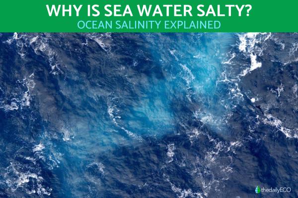 Why Is Sea Water Salty?