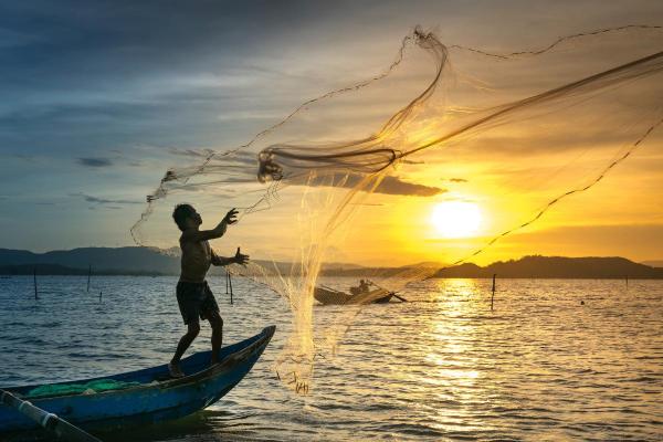 Why Is Sustainable Fishing Important?