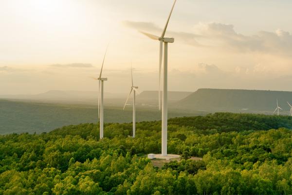 What Is the Environment and Why Is It Important? - Why is the environment important for us?