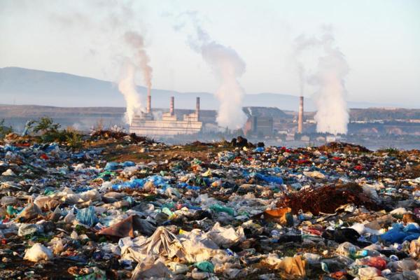 What Does It Mean to Live Zero Waste? - Why is zero waste important?