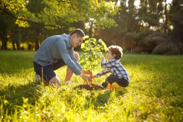 Best Homemade Organic Fertilizers for the Garden - Why use organic fertilizers instead of synthetic?