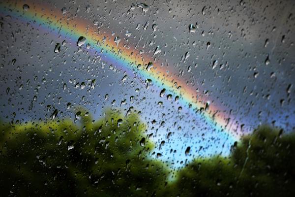 Why Does Rain Have a Certain Smell? - Why we like the smell of rain?