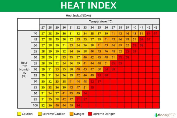What Is Wind Chill and How Is It Calculated? - Wind chill in summer (heat index)