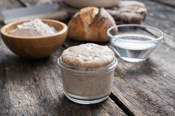 10 Fun Fungi Facts - Yeast is a type of fungus
