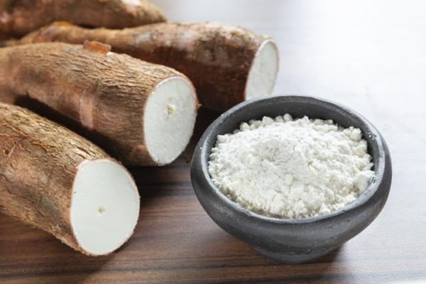 What Are Tubers in Plants? - Yucca